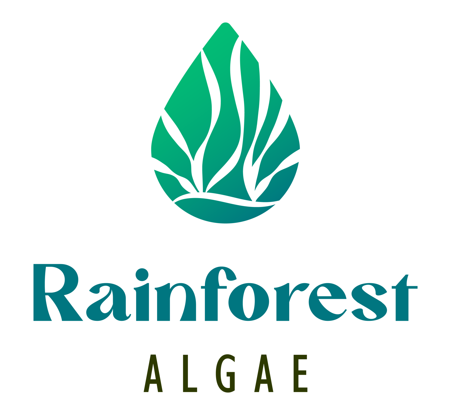 Contact rainforest algae
